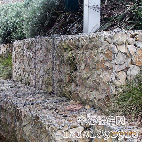 zsshilong103.jpg zsshilong103.jpg