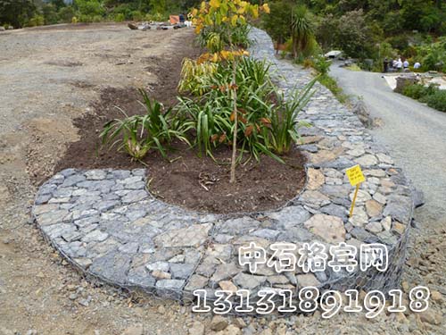 zsshilong110.jpg zsshilong110.jpg