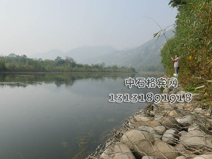 13131891918護岸賓格網廠家 13131891918護岸賓格網廠家