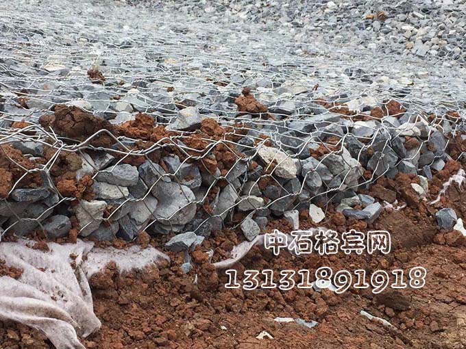 雙隔板雷諾護墊13131891918 雙隔板雷諾護墊13131891918